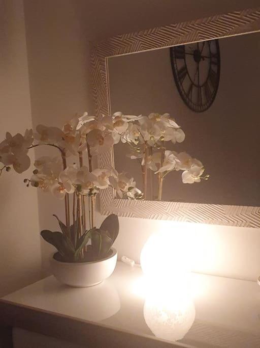 Orchidea Home トリエステ エクステリア 写真